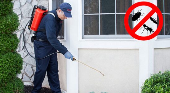 Dilovası Böcek ve Haşere İlaçlama böcek ilaçlama ve haşere kontrolü — ilaclama-tr.com